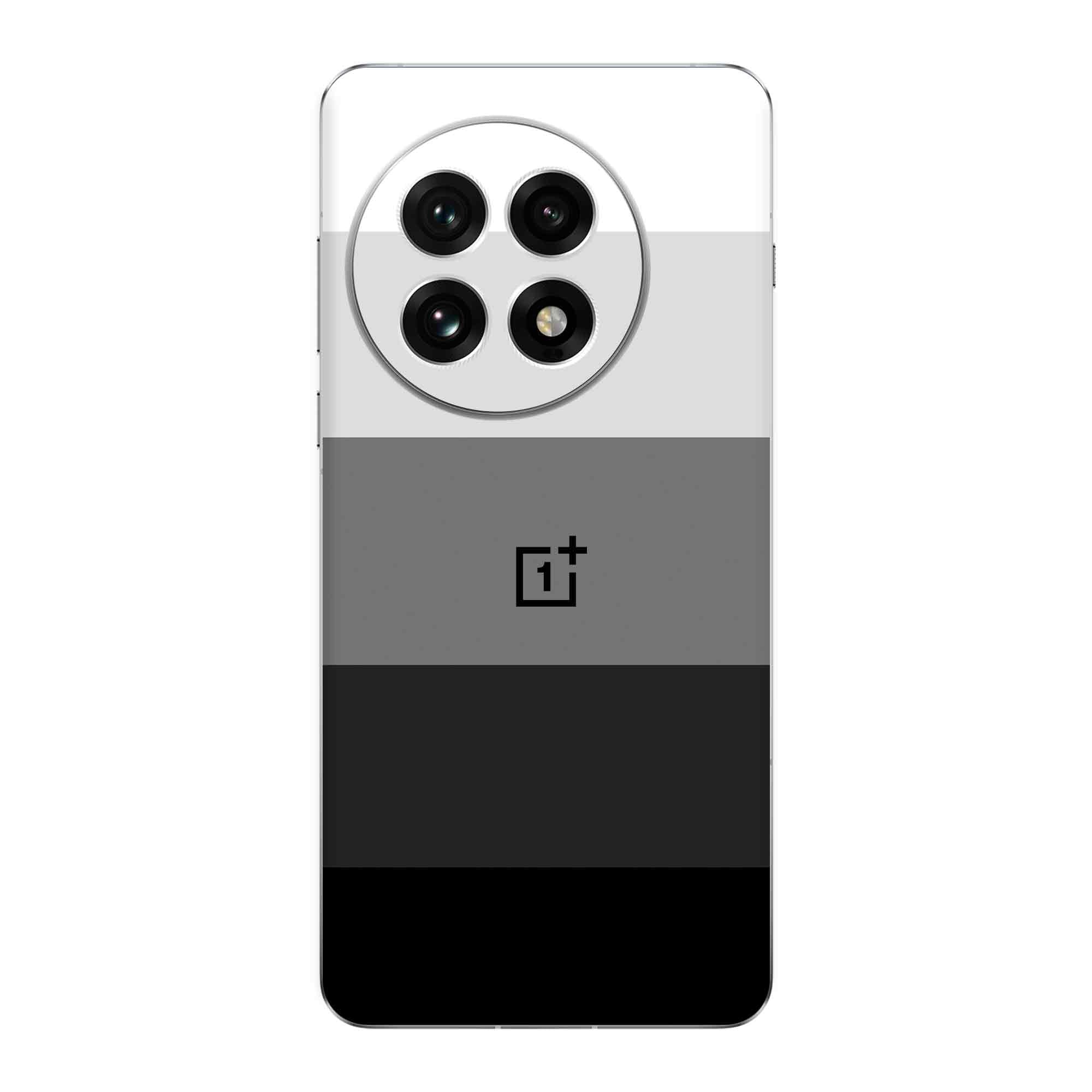 OnePlus 13R (5G) Skins & Wraps