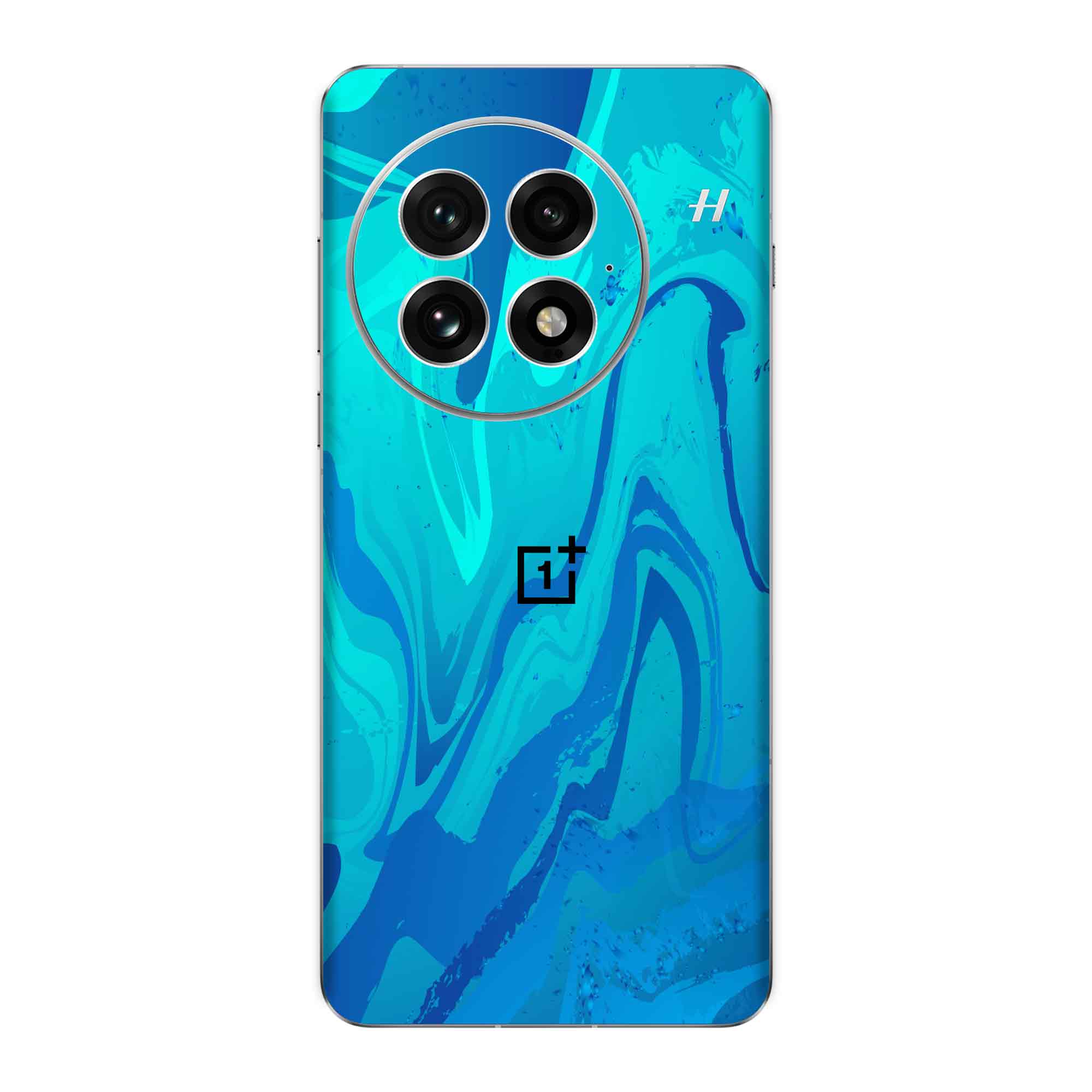 OnePlus 13 (5G) Skins & Wraps